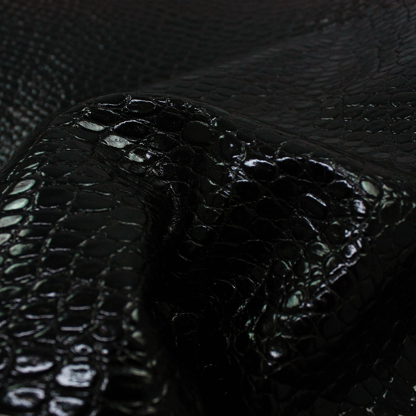 Piel de grabado coco negro brillo