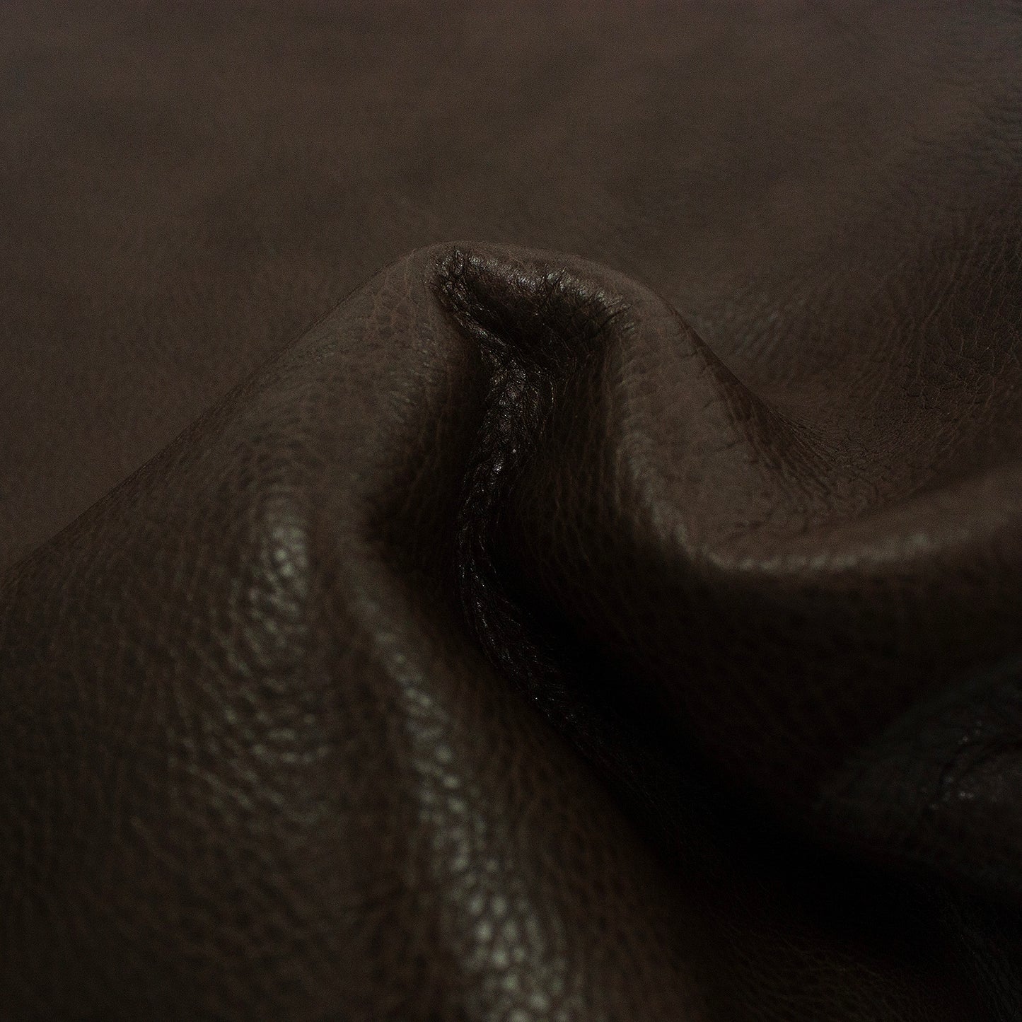 Trozo de piel vacuno rustico marron