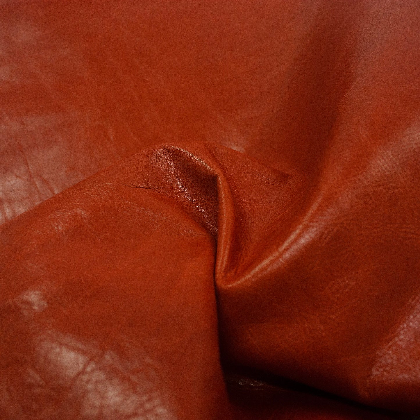 Trozo de piel becerro rústico cuero