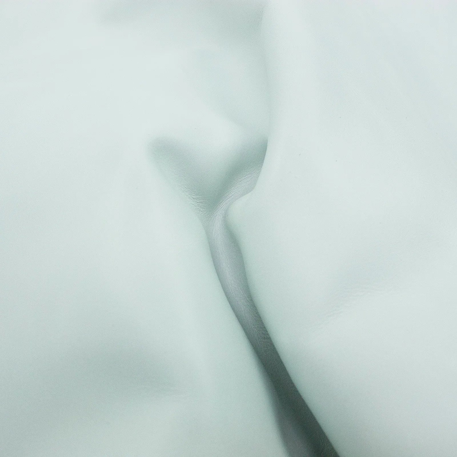 Piel de vacuno hielo envejecido - La Tendeta del Cuero