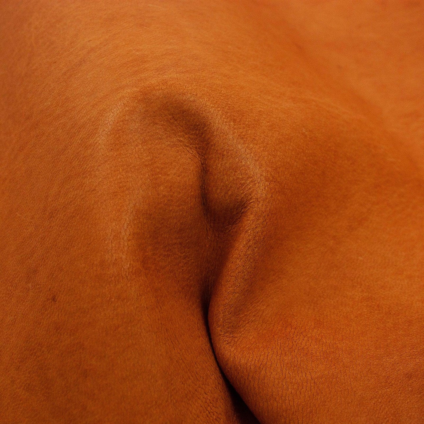 Piel de cabra engrasada macho cuero 1ª - CONTINUIDAD - La Tendeta del Cuero