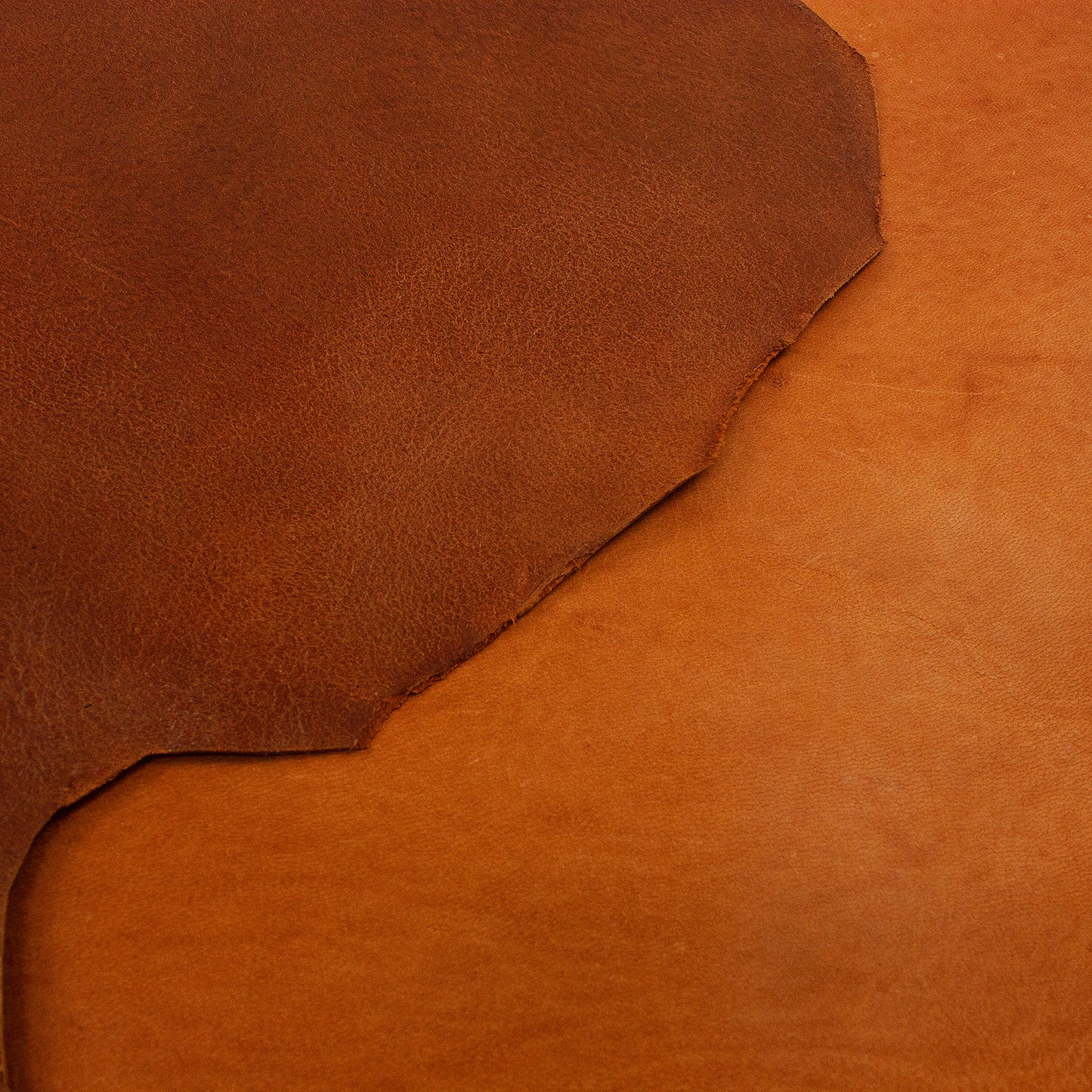 Piel de cabra engrasada cuero 2ª - CONTINUIDAD