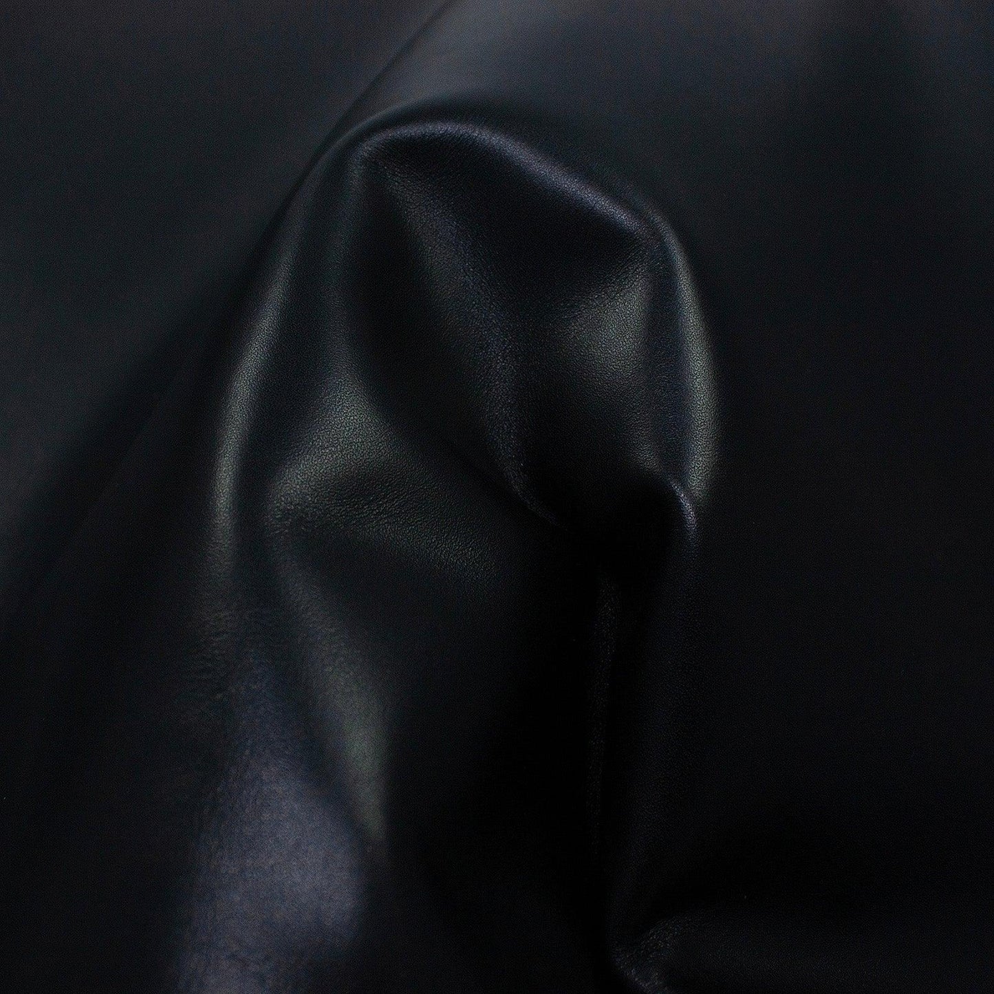 Piel de vacuno negro