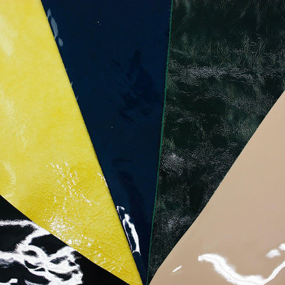 Lot 5 pieces of patent leather various colors