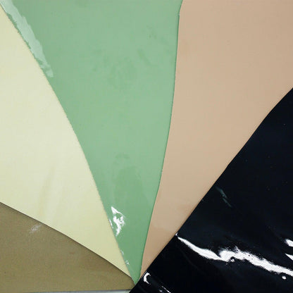 Lot 5 pieces of patent leather various colors