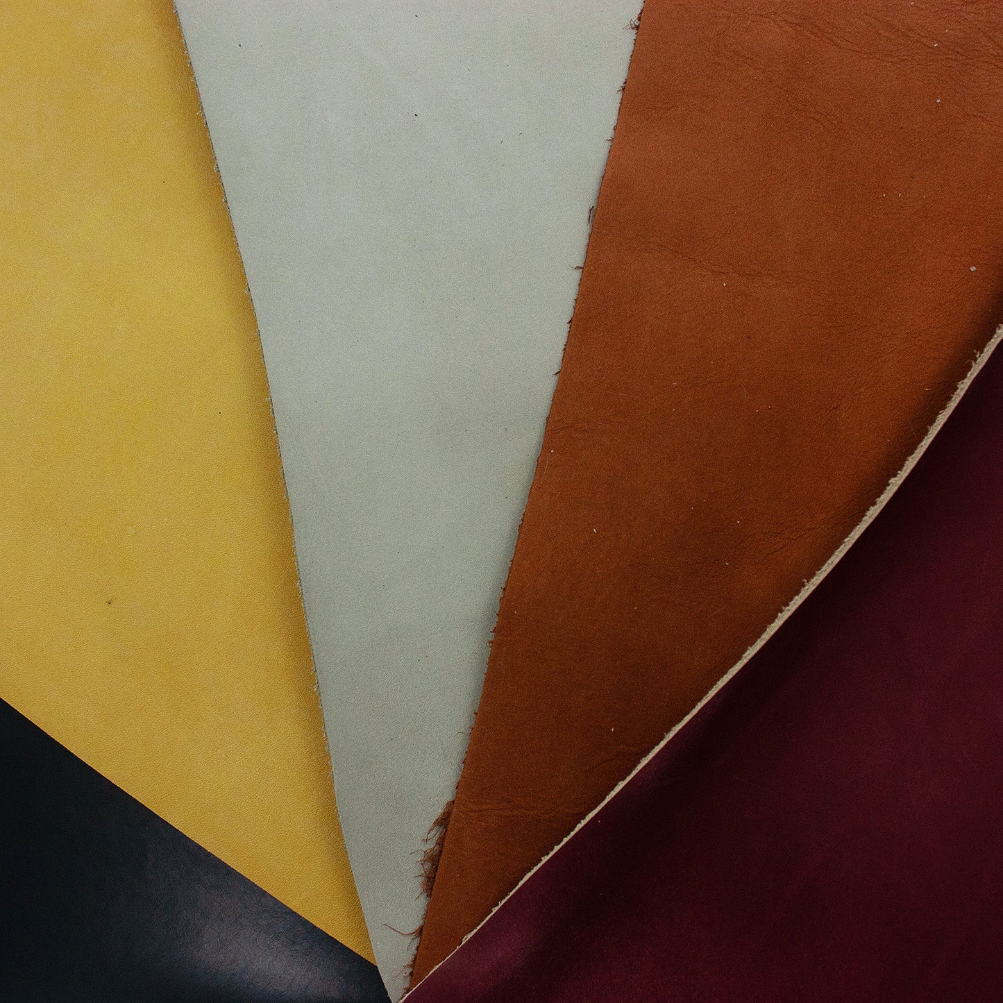 Lote 5 trozos de vacuno varios colores