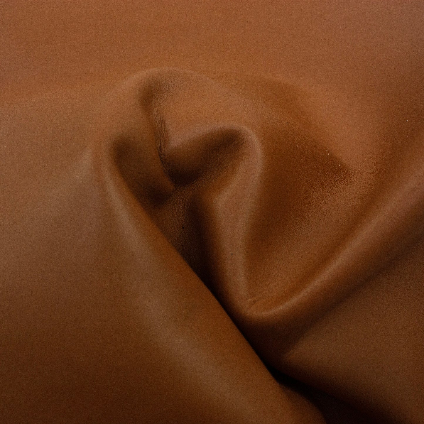 Trozo de piel vacuno marron