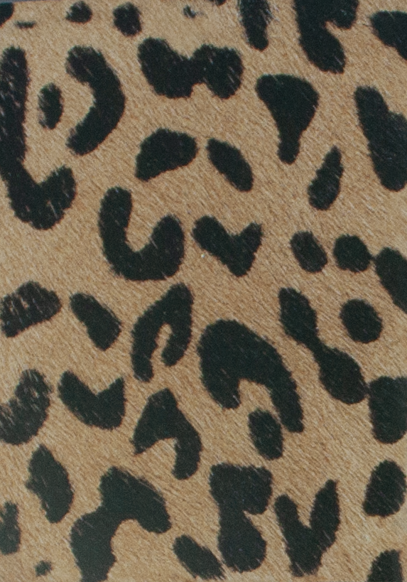 Coleccion Vacuno Pelo Animal Print CONTINUIDAD