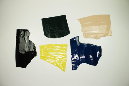 Lot 5 pieces of patent leather various colors