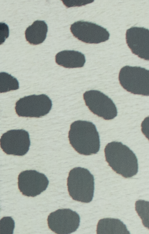 Coleccion Vacuno Pelo Animal Print CONTINUIDAD