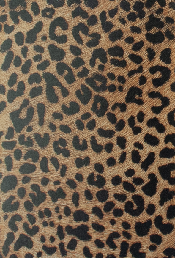 Coleccion Vacuno Pelo Animal Print CONTINUIDAD