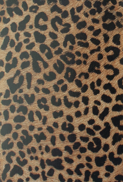 Coleccion Vacuno Pelo Animal Print CONTINUIDAD
