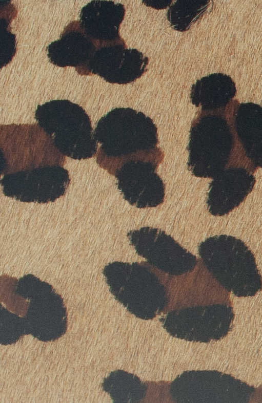 Coleccion Vacuno Pelo Animal Print CONTINUIDAD