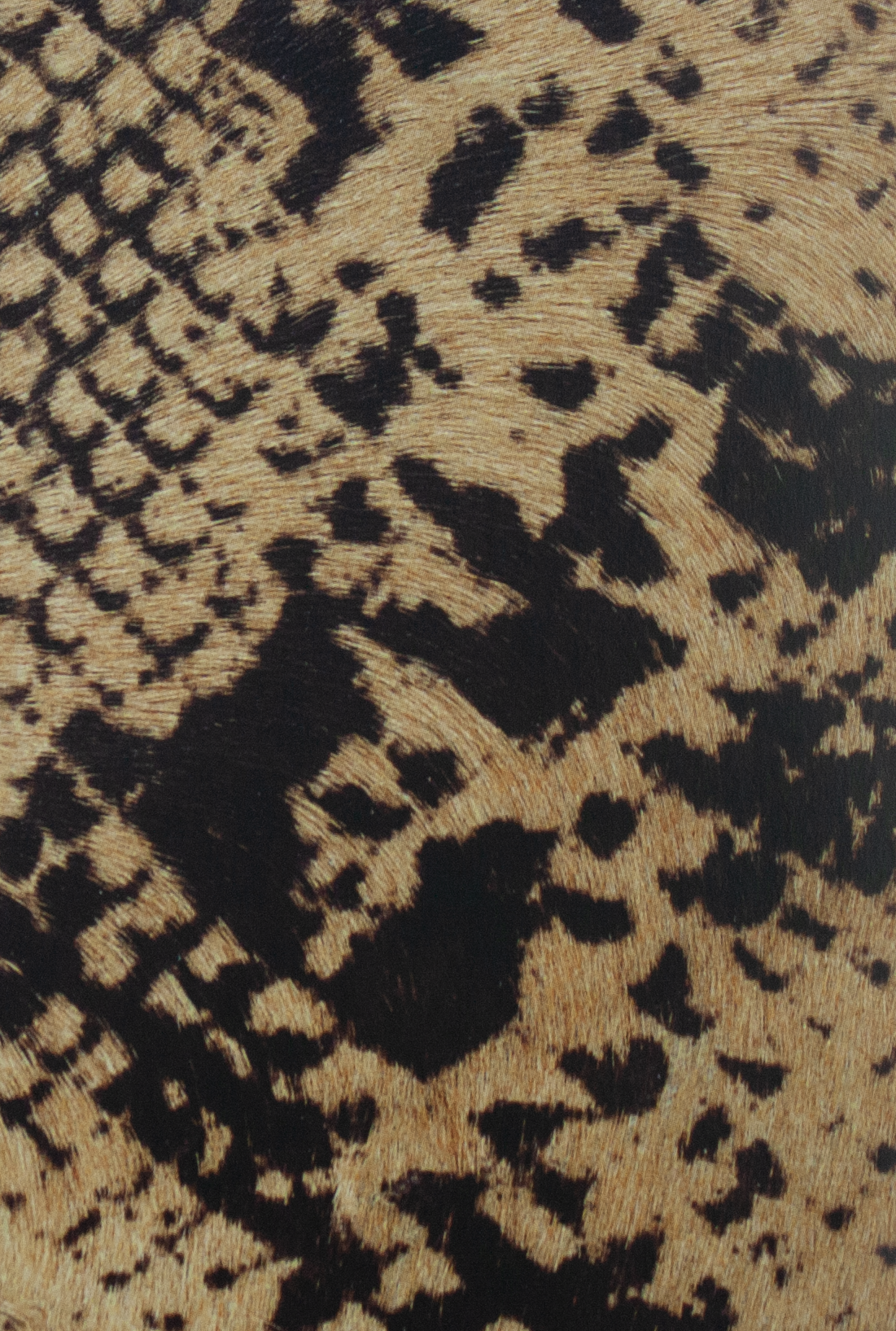Coleccion Vacuno Pelo Animal Print CONTINUIDAD
