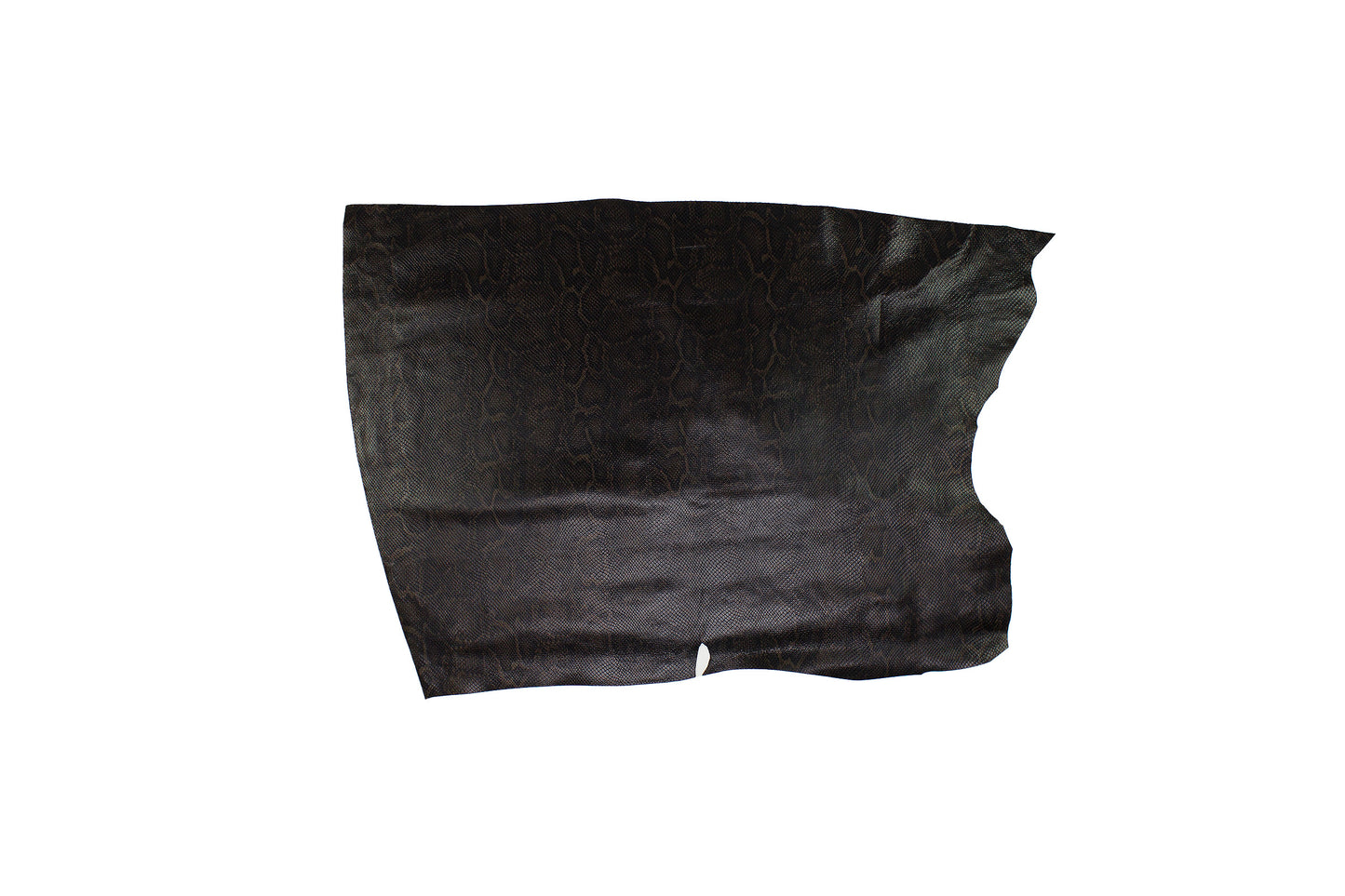 Trozo de piel grabado serpiente chocolate