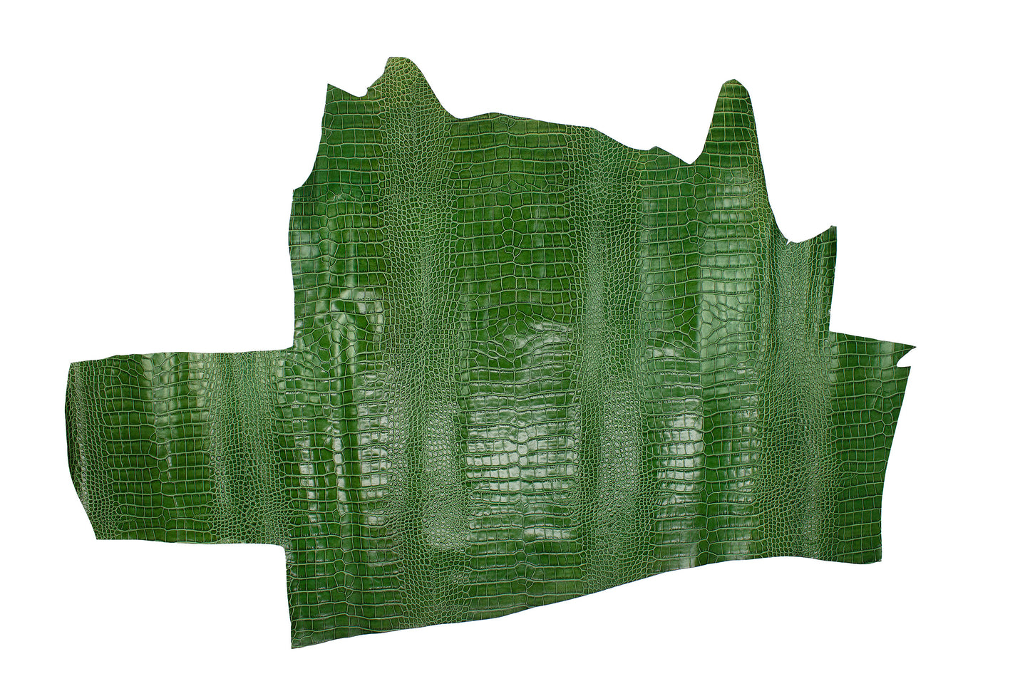 Trozo de piel grabado cocodrilo verde envejecido