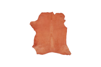 Trozo de piel pelo salmon
