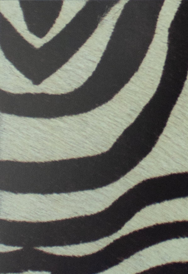 Coleccion Vacuno Pelo Animal Print CONTINUIDAD