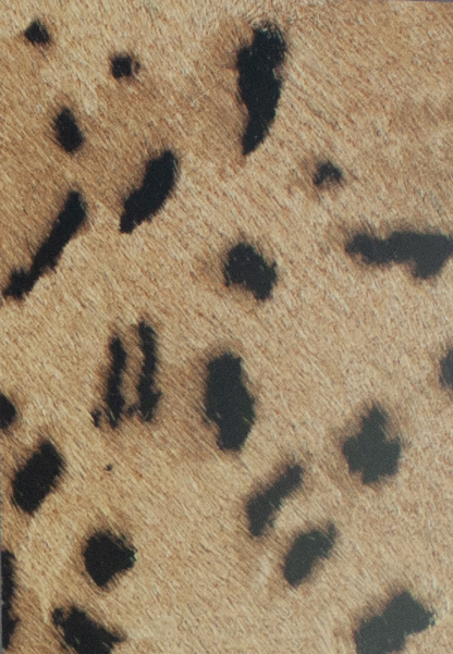 Coleccion Vacuno Pelo Animal Print CONTINUIDAD