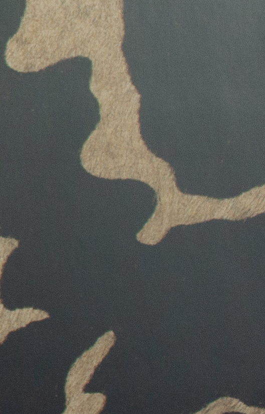 Coleccion Vacuno Pelo Animal Print CONTINUIDAD