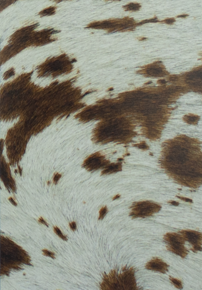 Coleccion Vacuno Pelo Animal Print CONTINUIDAD