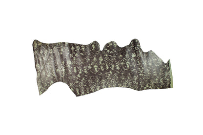 Trozo de piel grabado serpiente marron - gris - La Tendeta del Cuero