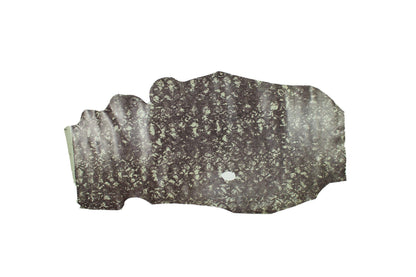 Trozo de piel grabado serpiente marron - gris - La Tendeta del Cuero