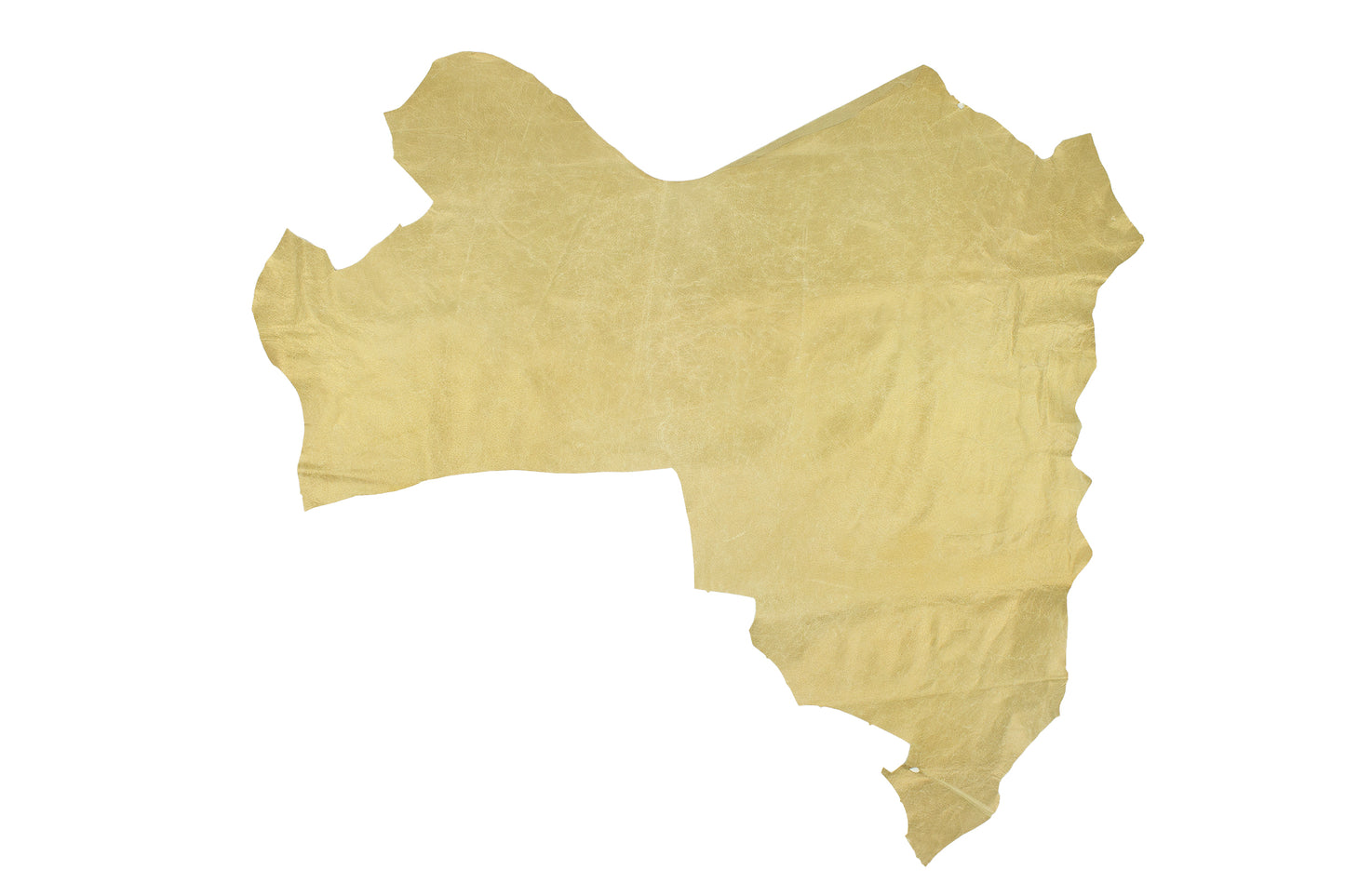 Piece of gold grain pigskin lining