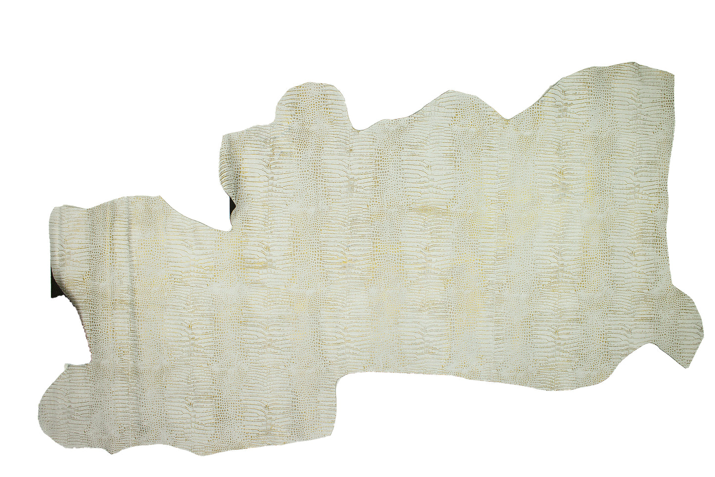 Trozo de piel grabado cocodrilo niebla - oro