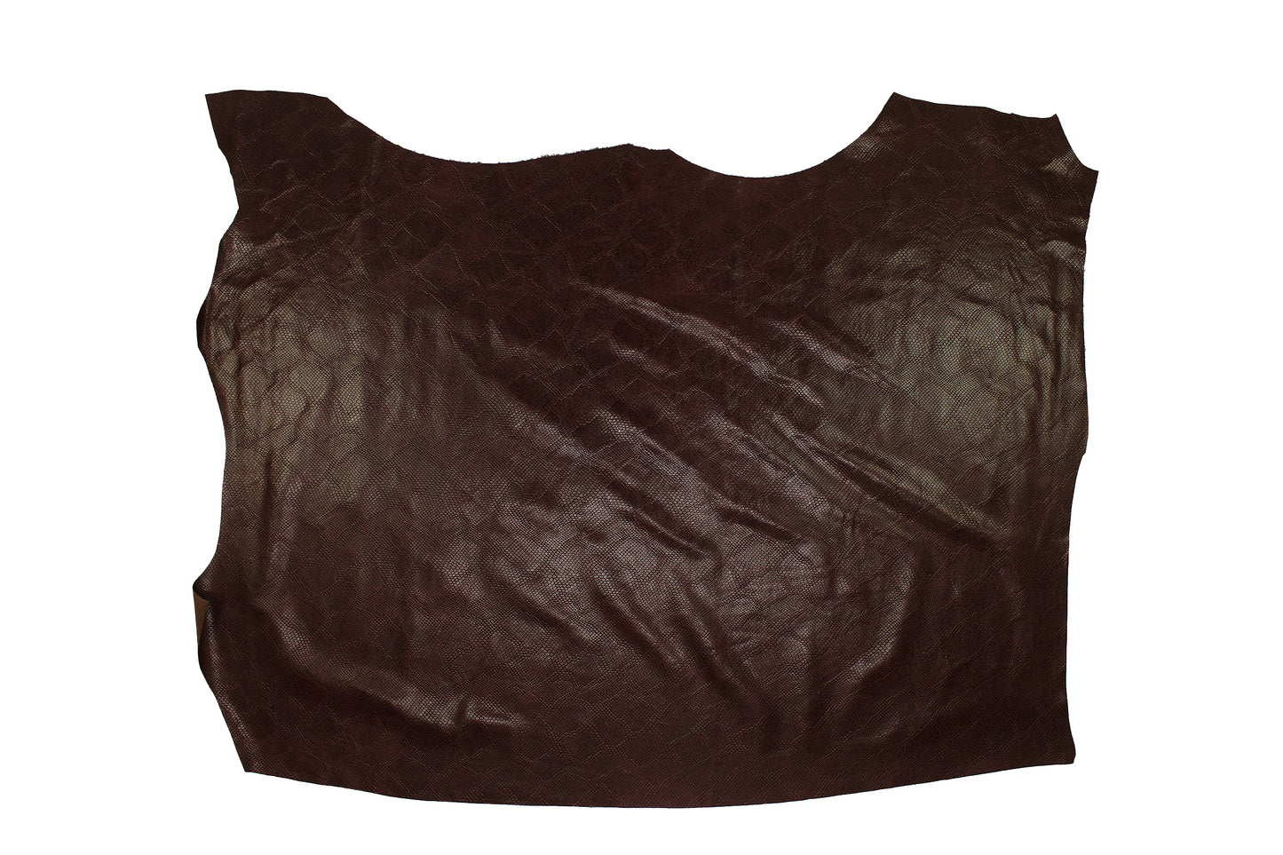 Piece of skin engraved with a Rioja python snake