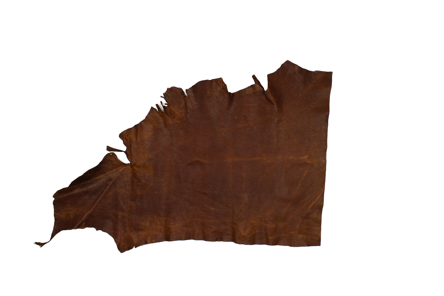 Trozo de piel vacuno rustico cuero envejecido