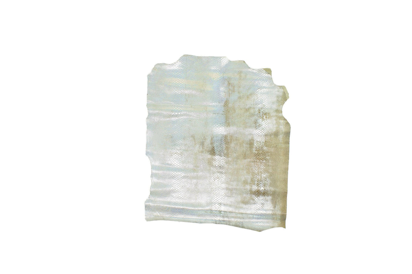 Piece of worn multicolor fantasy snake skin