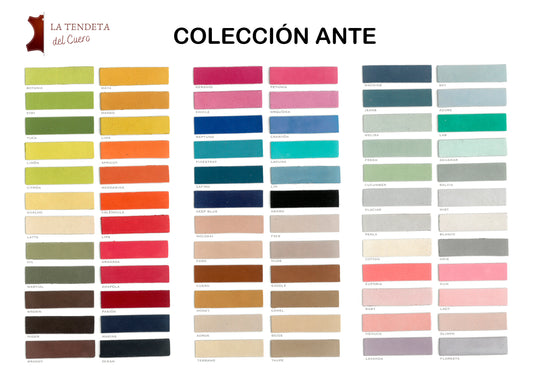 Coleccion Ante CONTINUIDAD