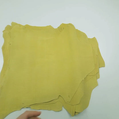 Mustard Lizard Engraving Skin