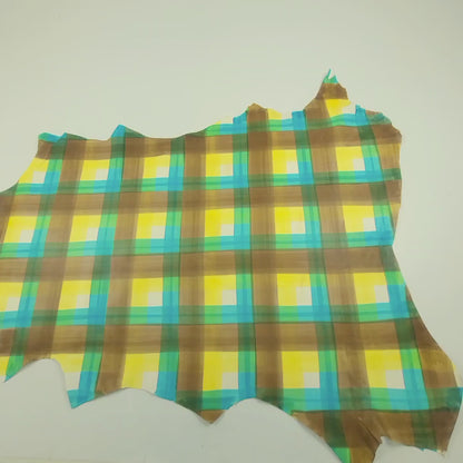 Multicolored picnic fancy skin