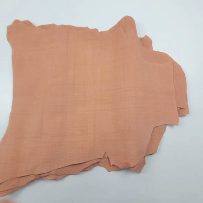 Coral Lizard Engraving Skin