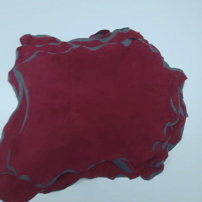 currant buckskin